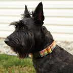Rainbow Plaid Dog Collar