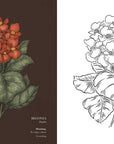 Floriography Coloring Book