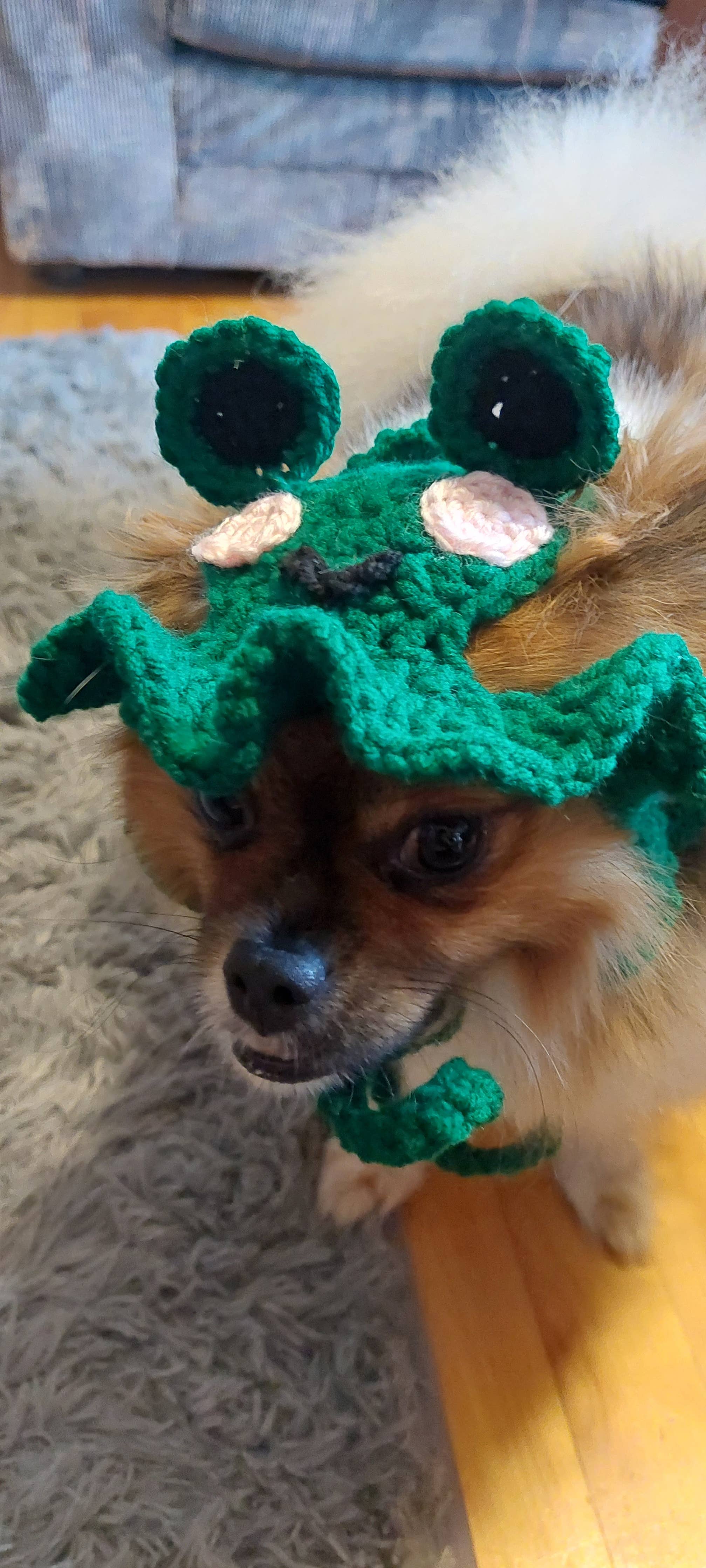 Crochet Frog Hat - Cat Hat - Pet Hat - Made to order