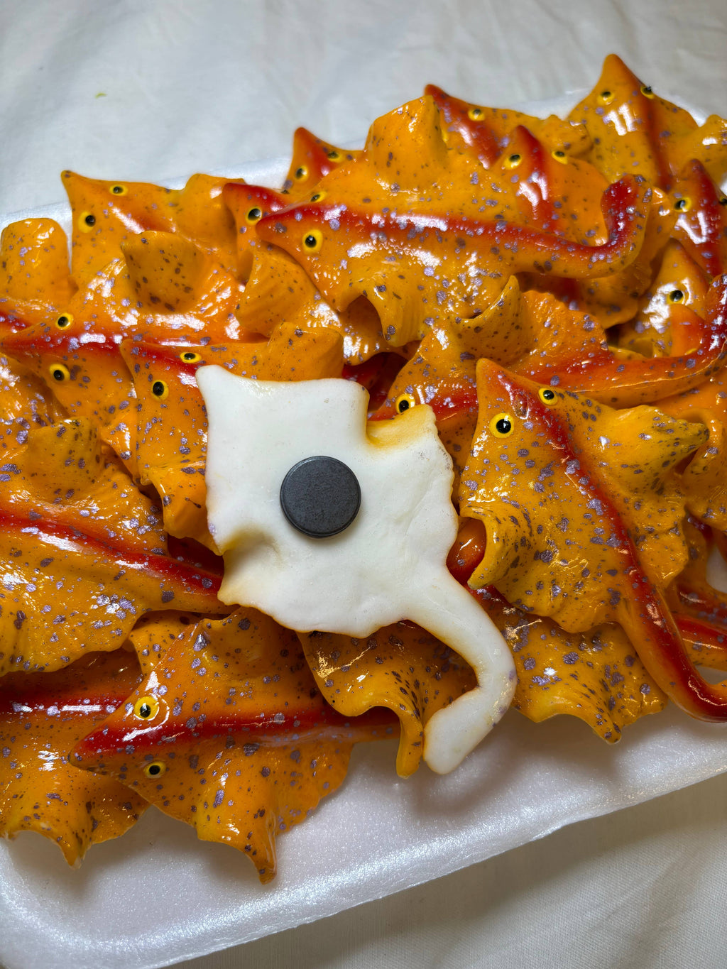 Stingray Kitchen Magnet