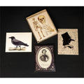 Midnight Quill Note Card
