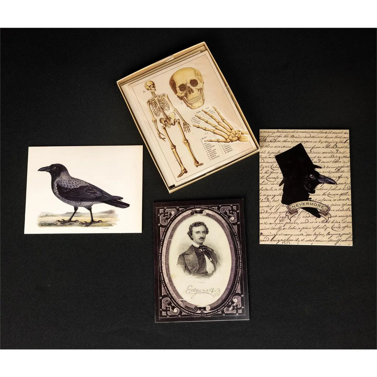 Midnight Quill Note Card