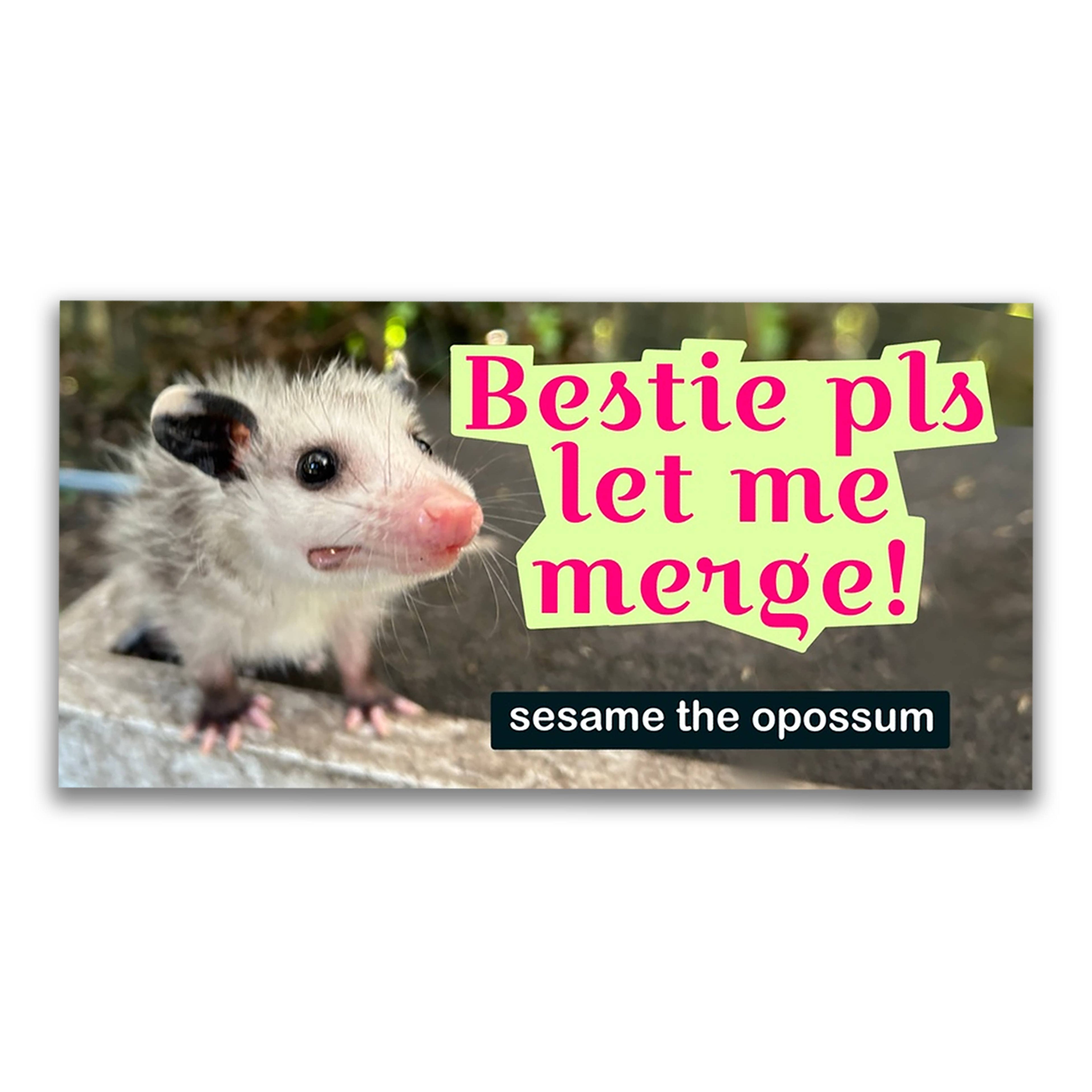 Baddy Bumper Stickers