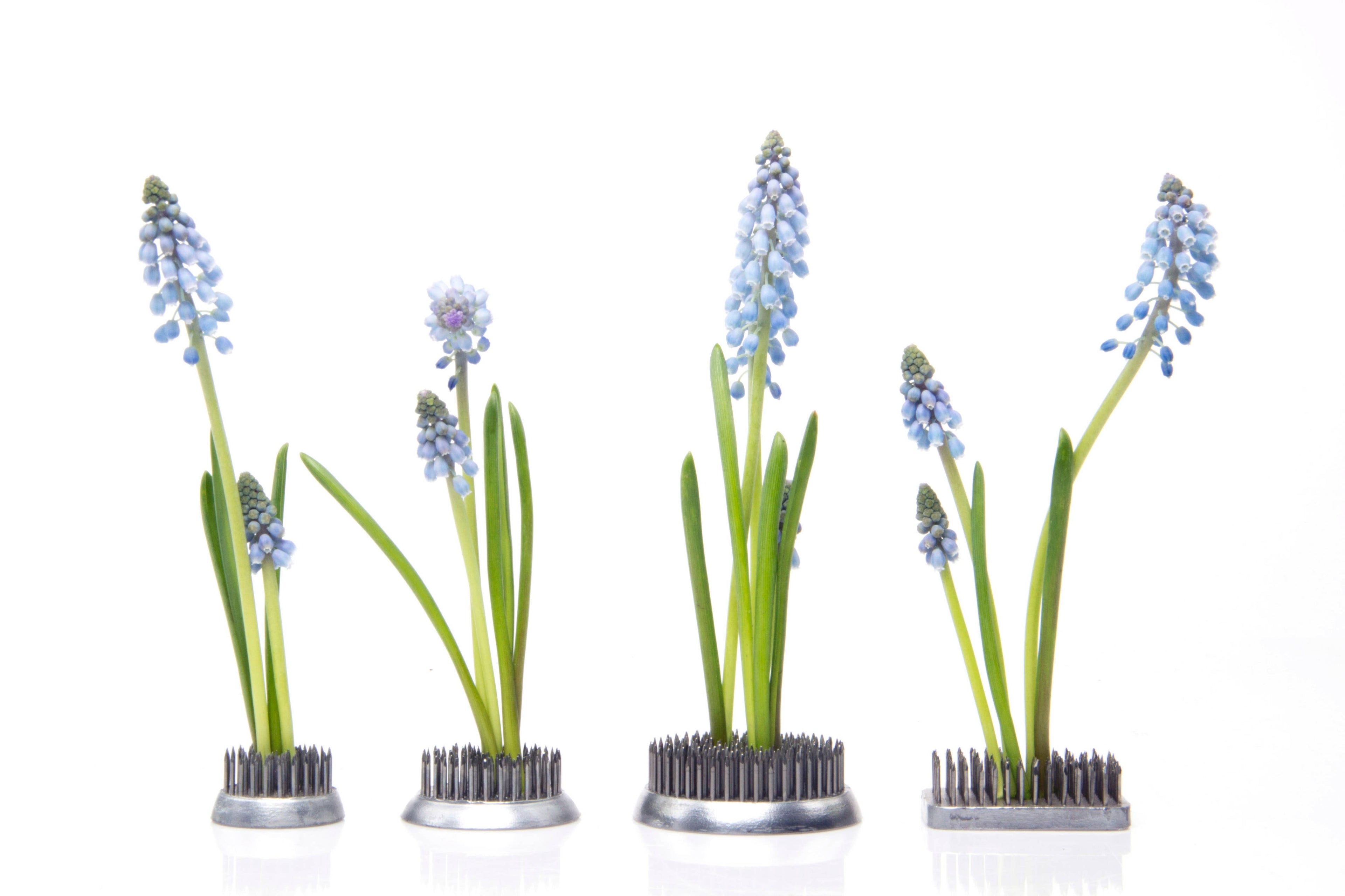 Flower Frog for Vases - Stainless Steel Flower Arranger