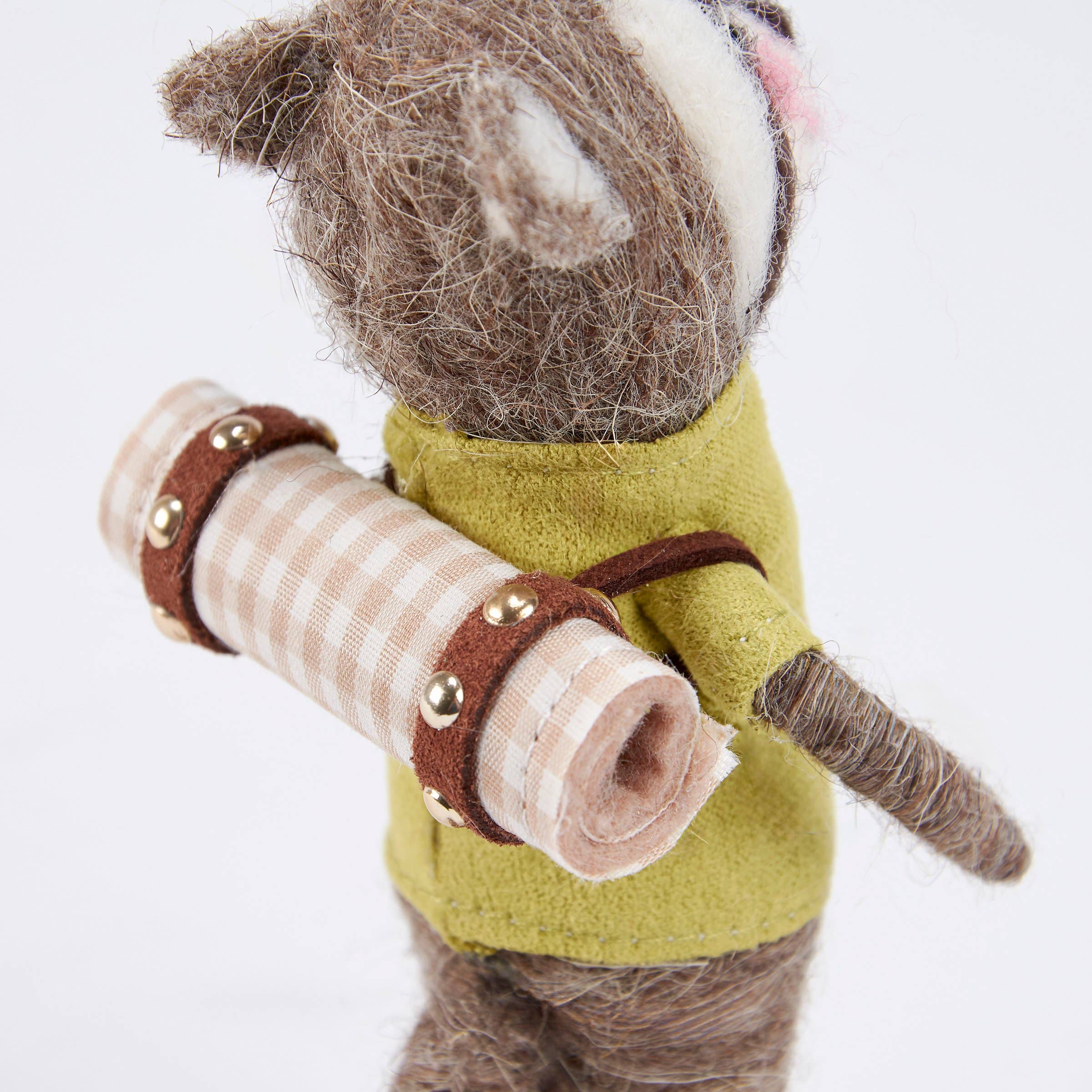 Picnic Raccoon Critter