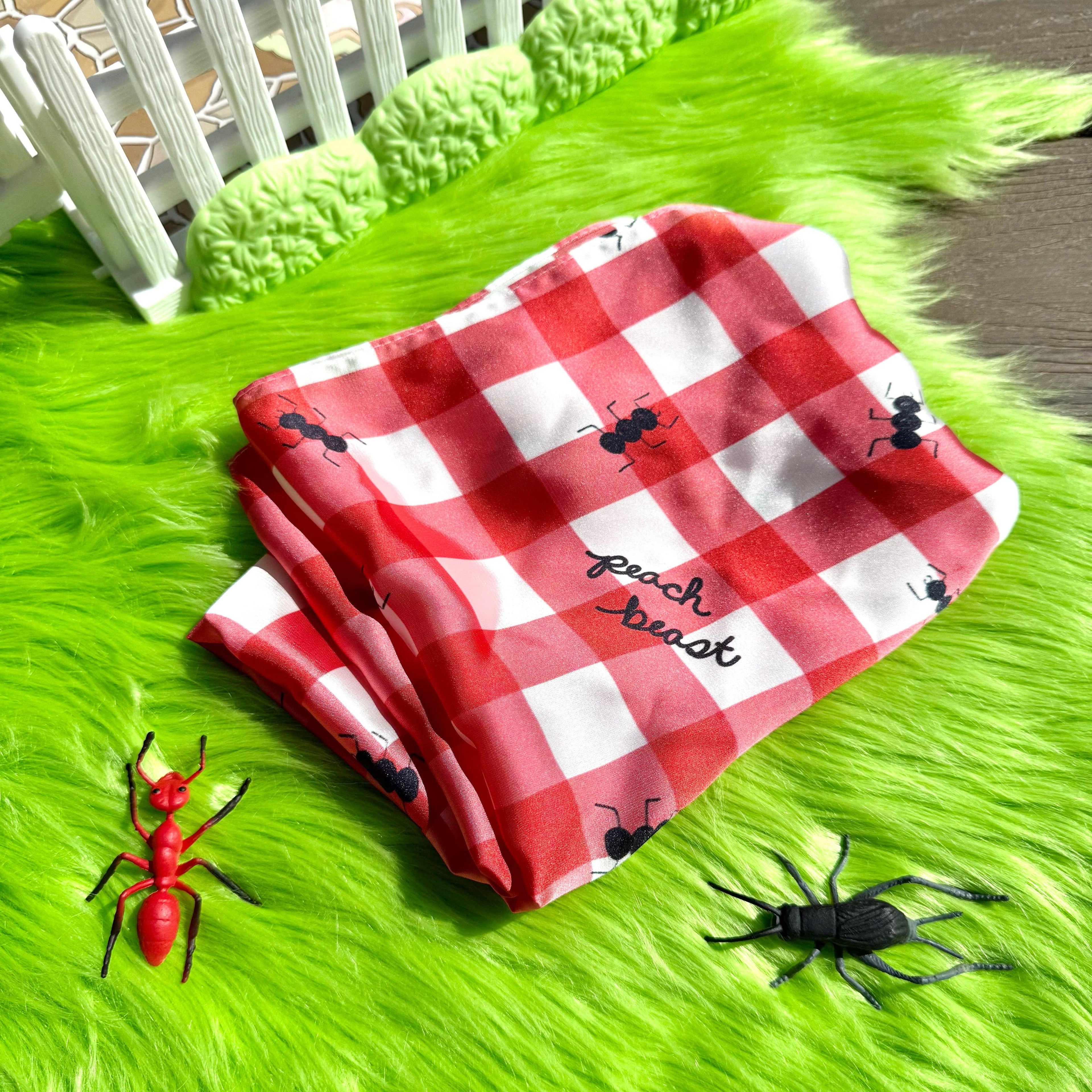 Picnic Satin Scarf