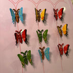 Moving Butterfly Kitchen Magnet