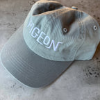 Pigeon Dad Hat baseball cap bird birder Museum city nature