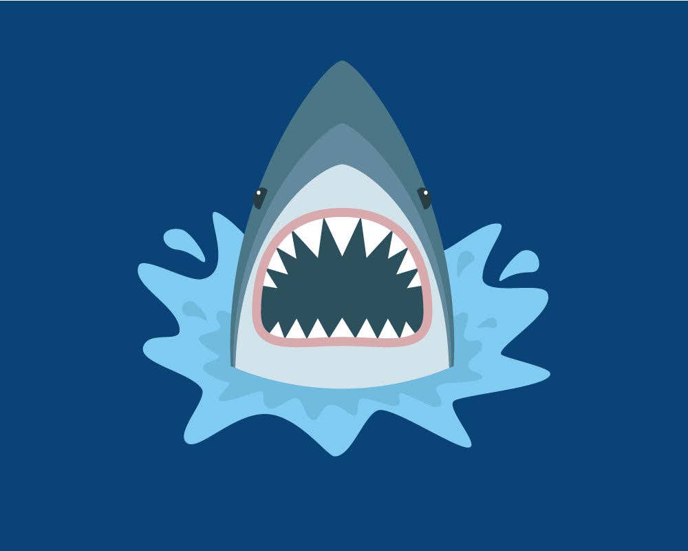 Shorty Shark Paint by Numbers
