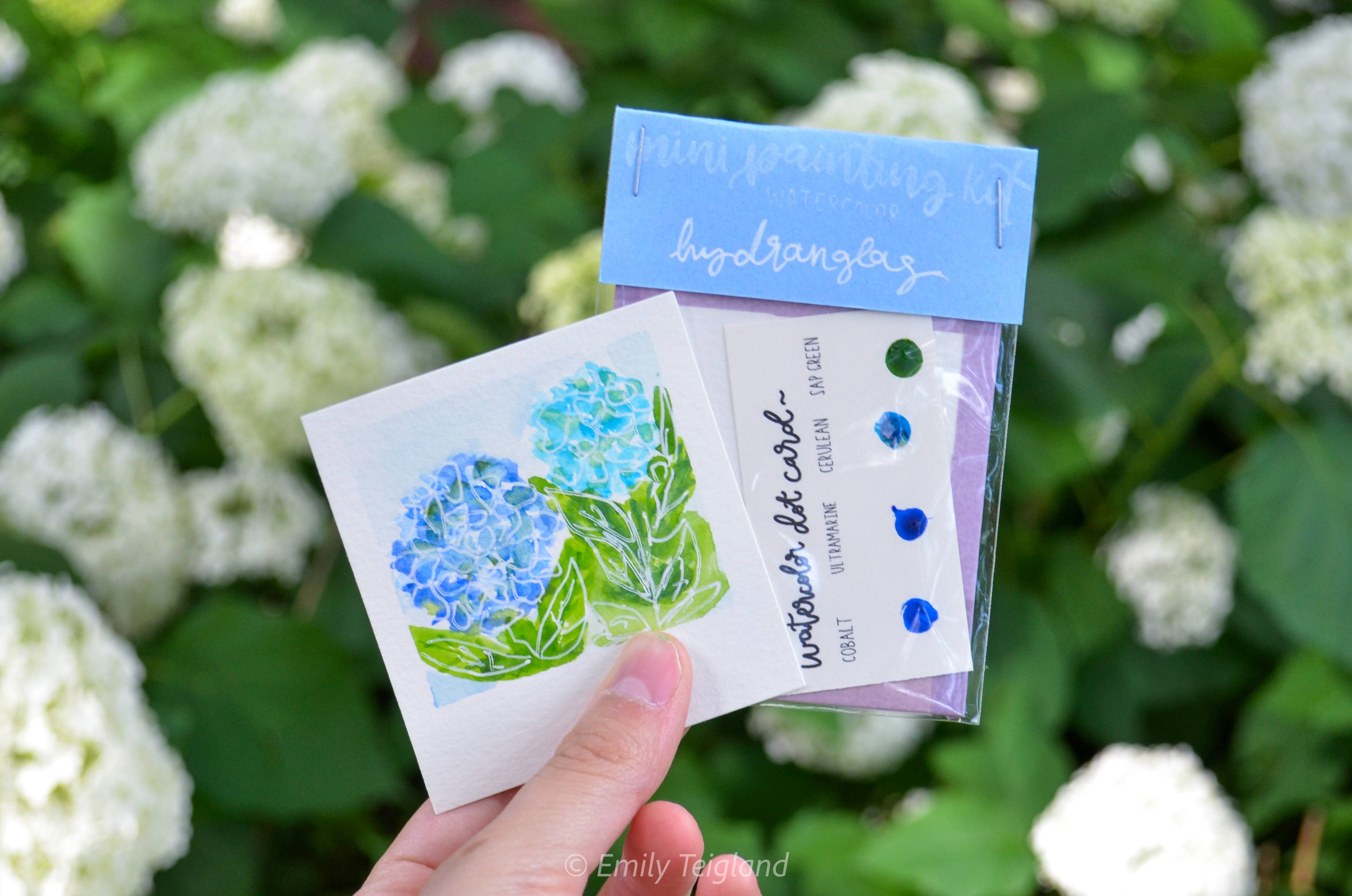 Mini Painting Kit- Hydrangeas
