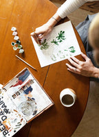 Field of Daisies Paint-By-Numbers kit