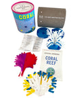 Crystal Growing Coral Reef | 
Craft Kit Science Kit