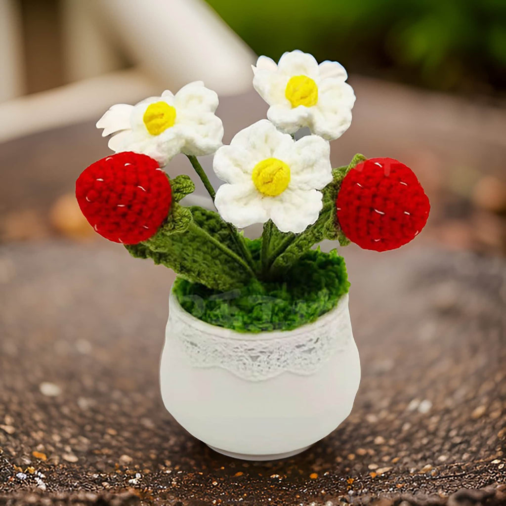 Crochet Small Strawberry Pot