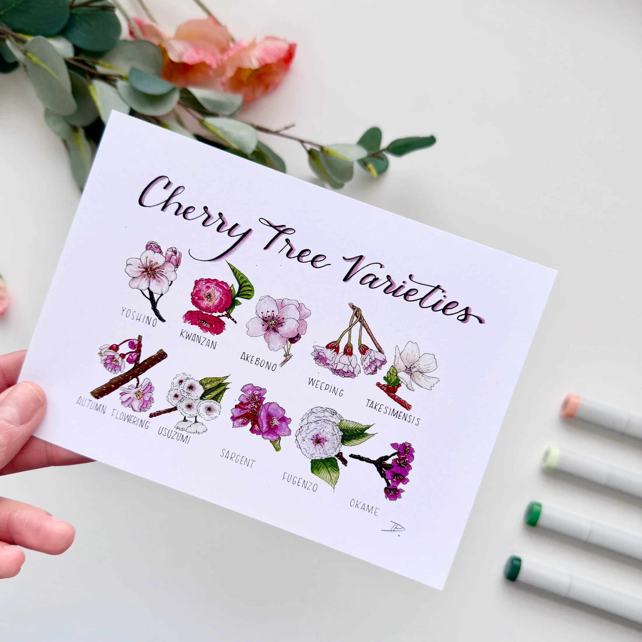 Cherry Blossom Varieties 5x7 Print