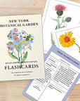 New York Botanical Garden Wildflower ID Flashcards