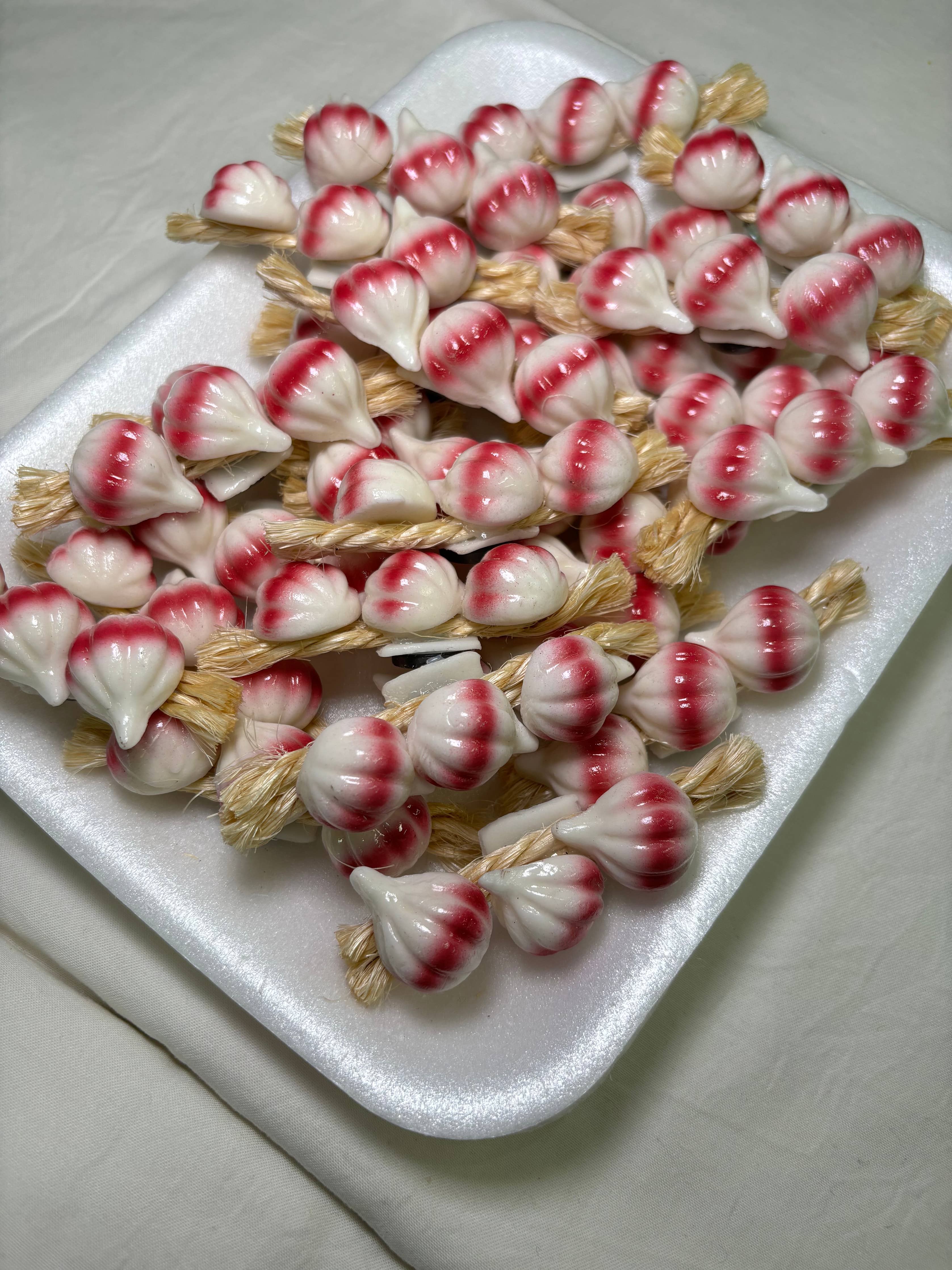 Garlic On Rope Kitchen Magnet