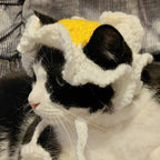 Crochet Fried Egg Hat - Cat Hat - Pet Hat - Made to order