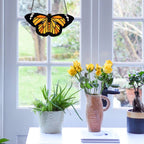Yellow and Orange Single Butterfly