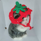 Crochet Strawberry Hat - Cat Bonnet - Pet Hat