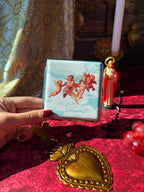 Cherub Case