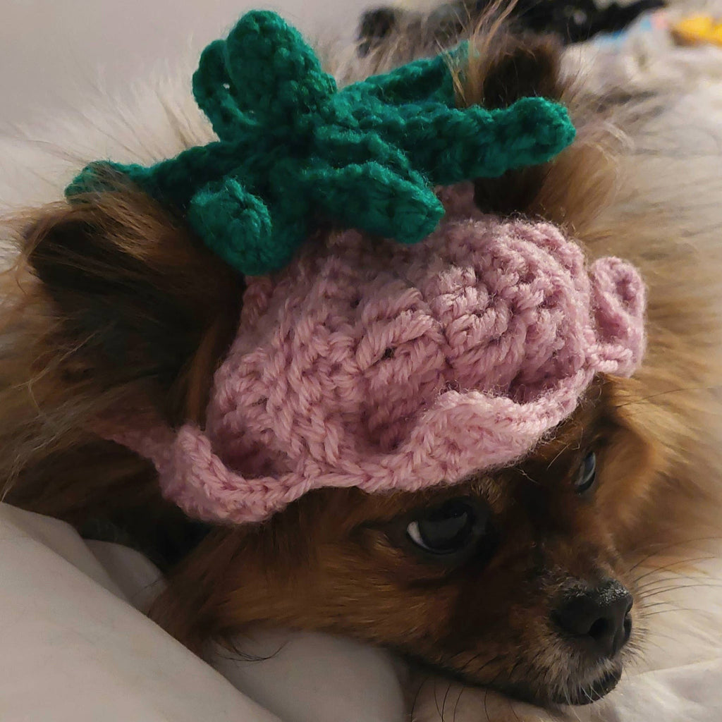 Crochet Tulip Hat - Cat Bonnet - Pet Hat
