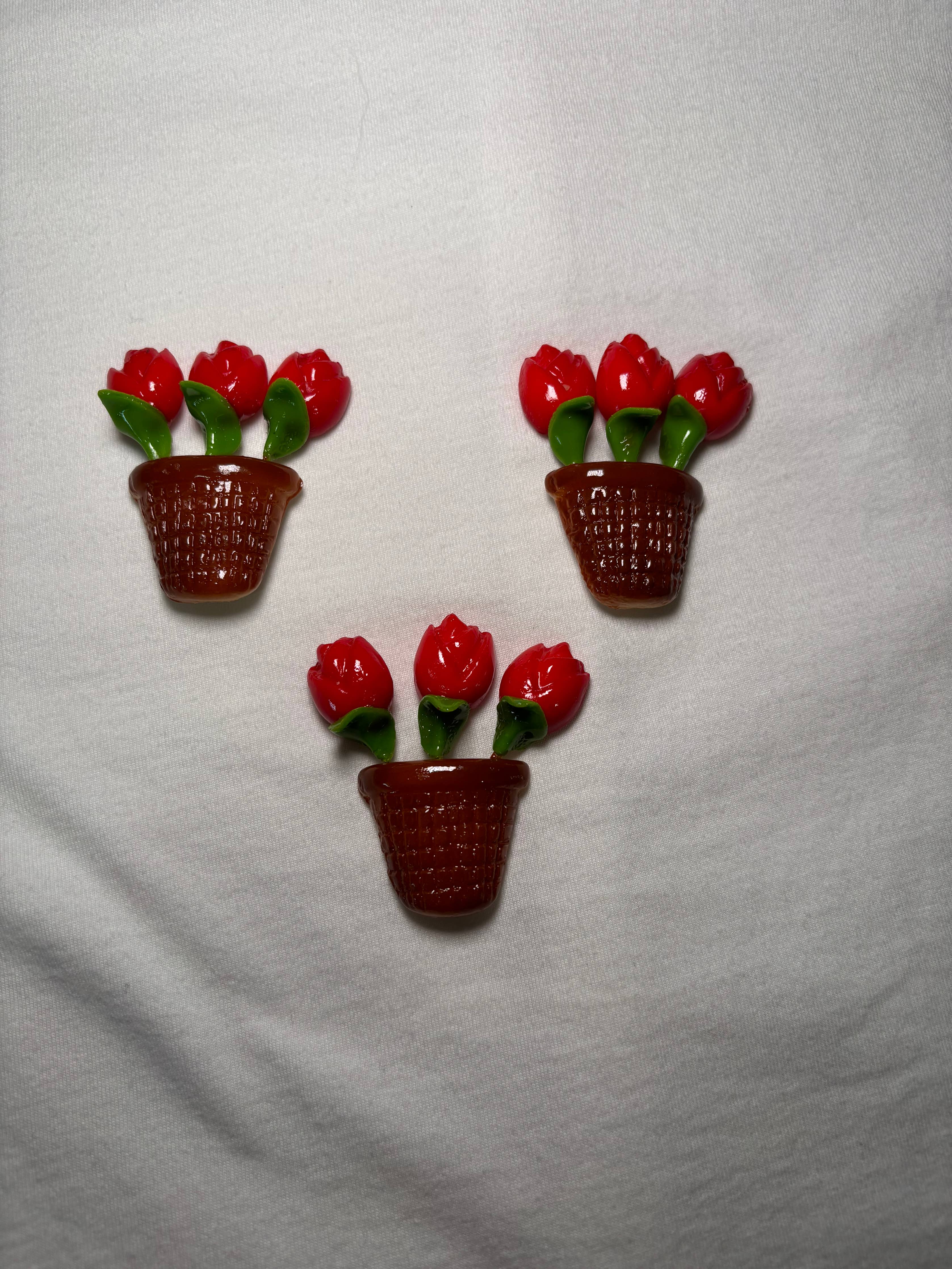 Roses in a Pot Magnet