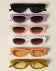Women's Trendy Cat Eye Sunglasses