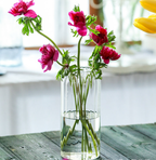 Stripes Clear Bud Vase