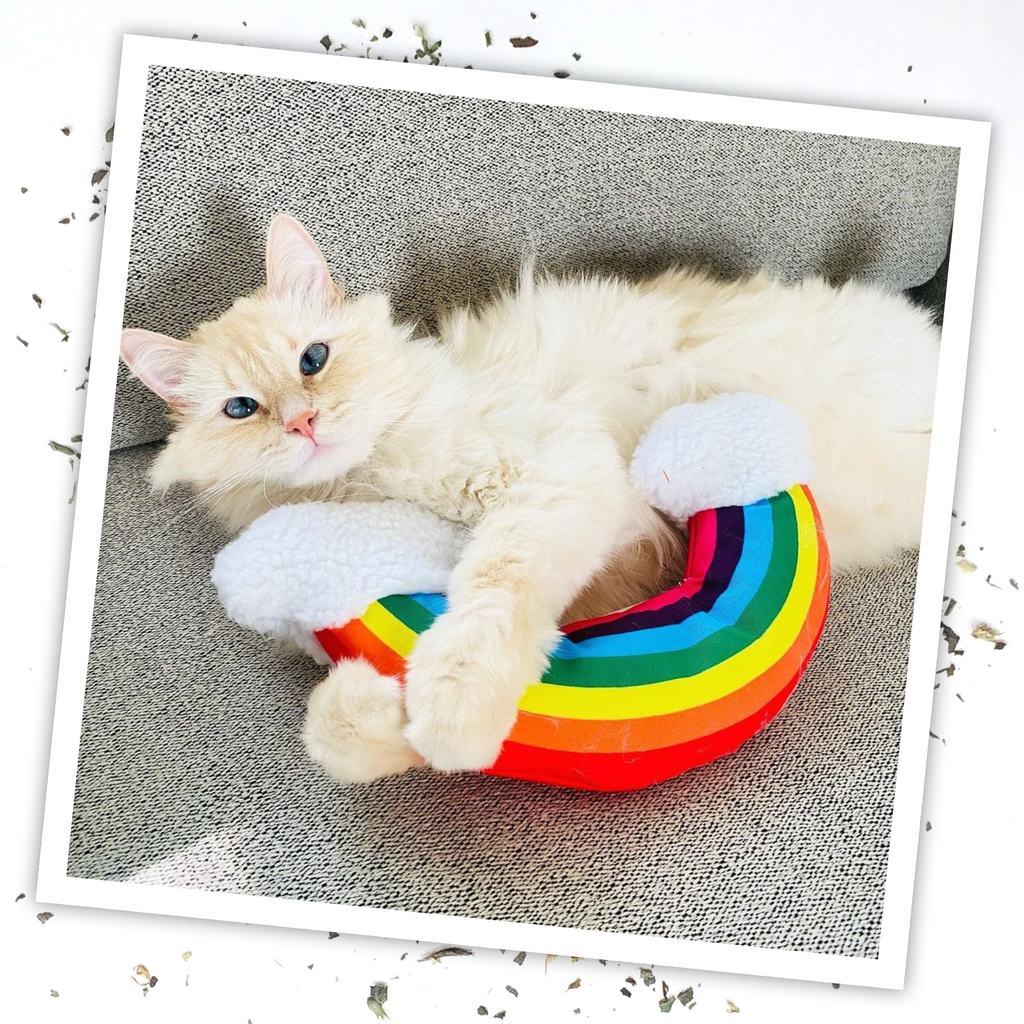 Get Kickin' Rainbow Kicker Refillable Cat Toy