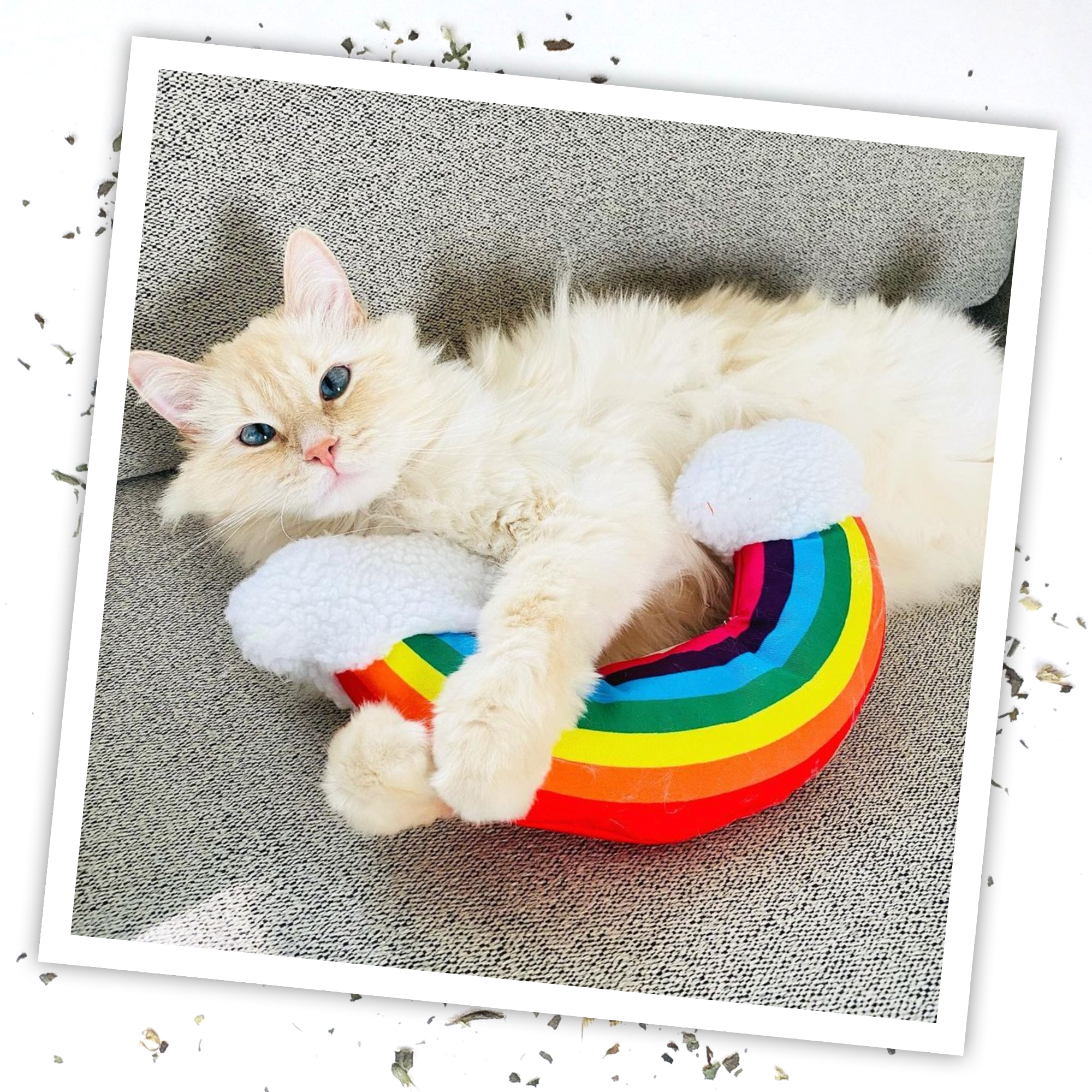 Get Kickin' Rainbow Kicker Refillable Cat Toy