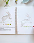 Animals watercolor workbook