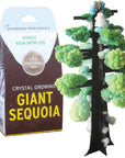 Crystal Growing Giant Sequoia | 
Craft Kit Science Kit