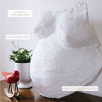 Belly Casting Pregnancy Mold Kit