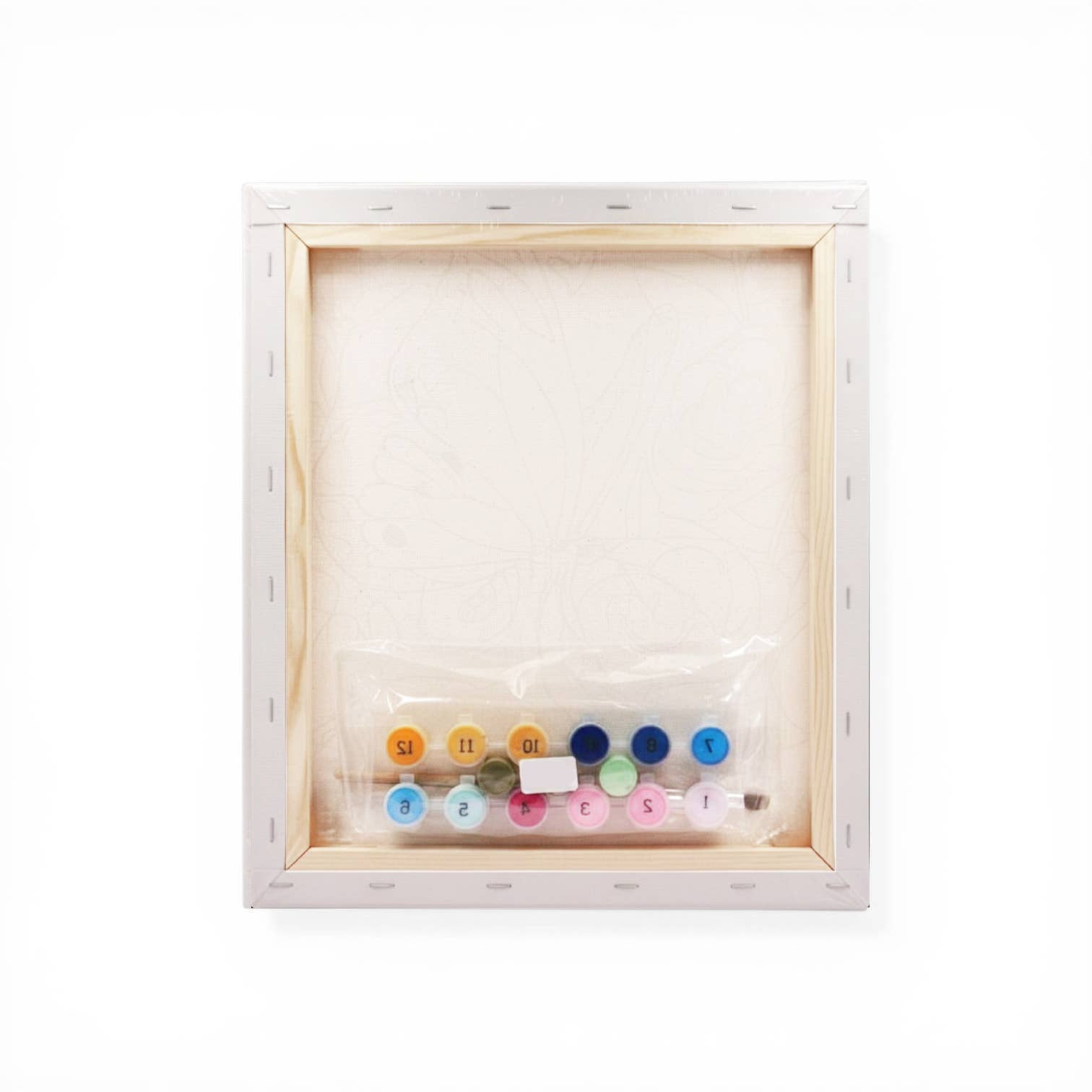Paint-by-Number Kits (Assorted Styles)