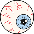 Eyeball Sticker