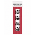 Magnetic Vintage Photobooth Frame - Pink & Orange Stripe