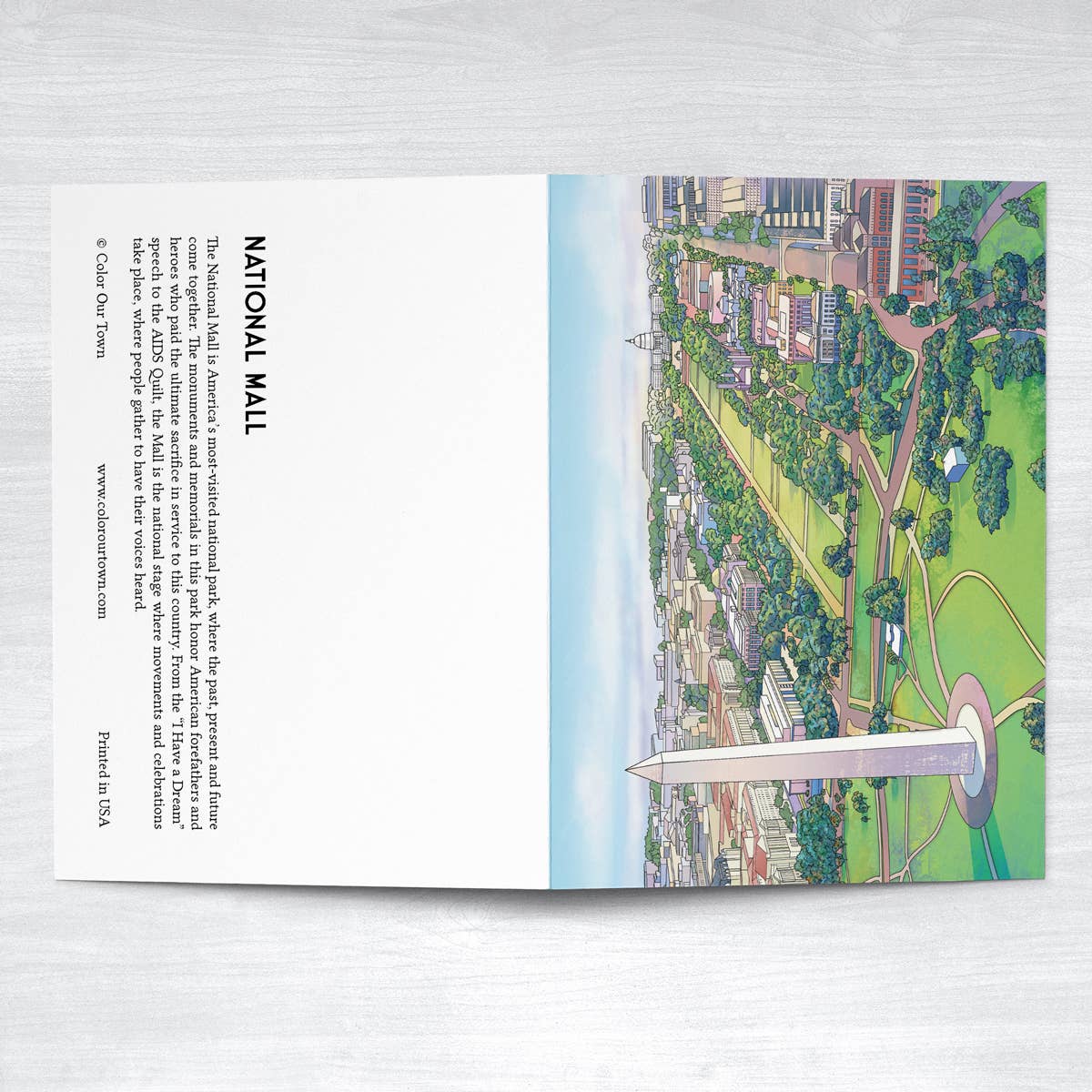 National Mall - Washington DC - Greeting Card