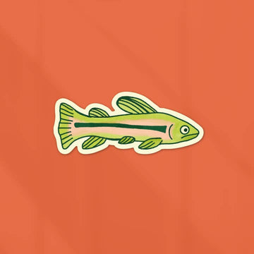 Rainbow Trout Sticker