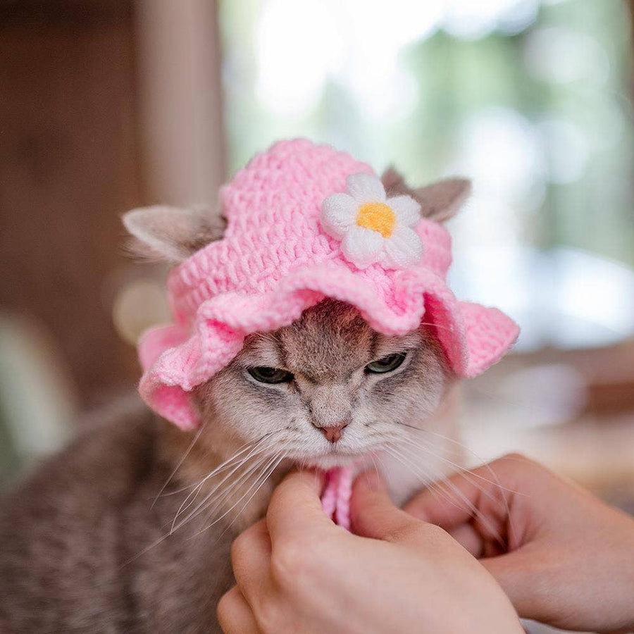 Ozzie - Cute Pet Hat For Small Animals