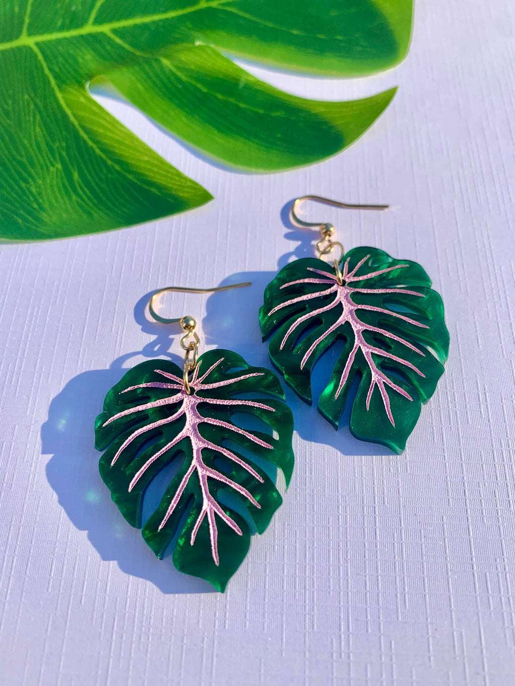 Mini Monstera