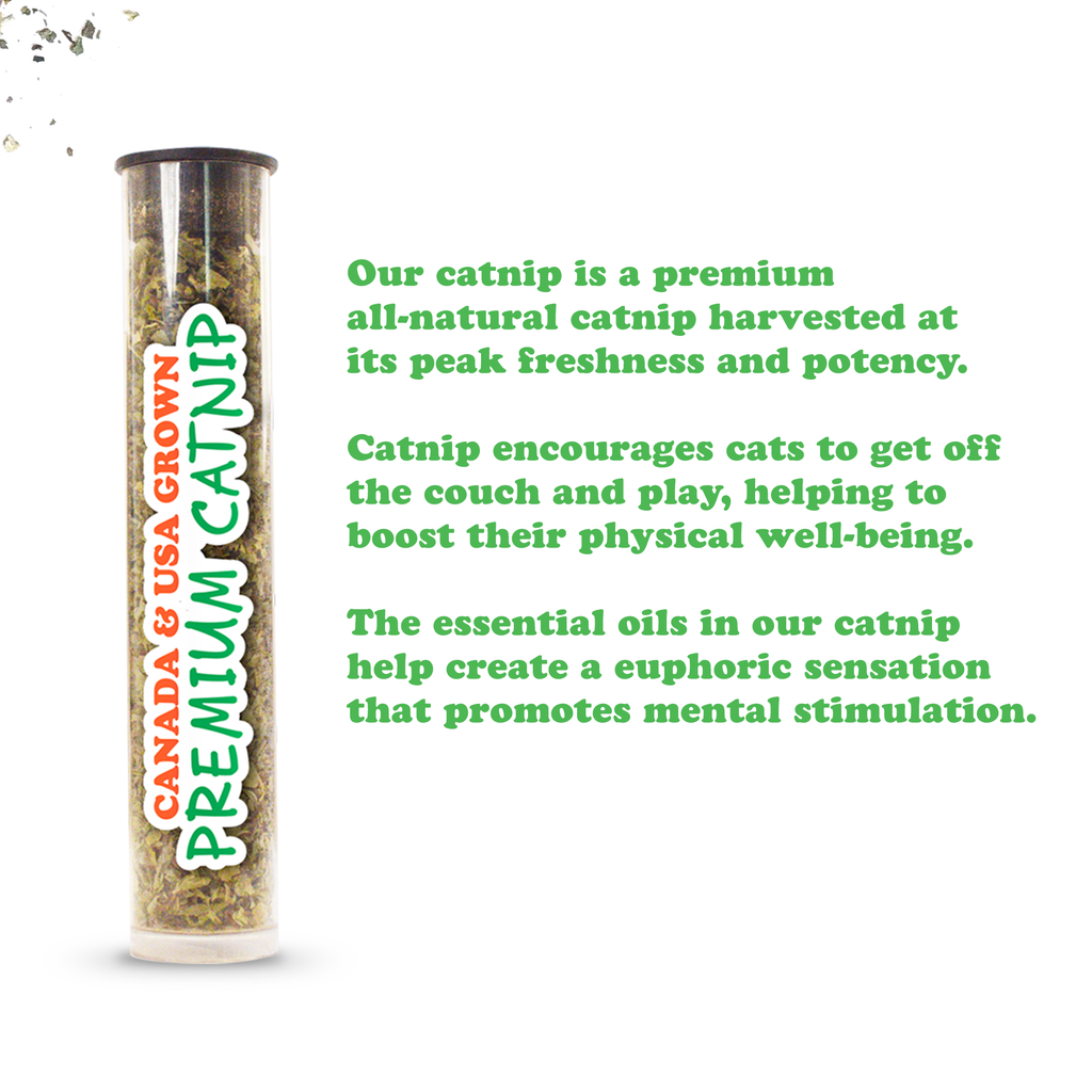 Get Toasted Champagne Bottle Refillable Catnip Cat Toy
