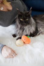 Gourds Fall Cat Toys, Set of 2