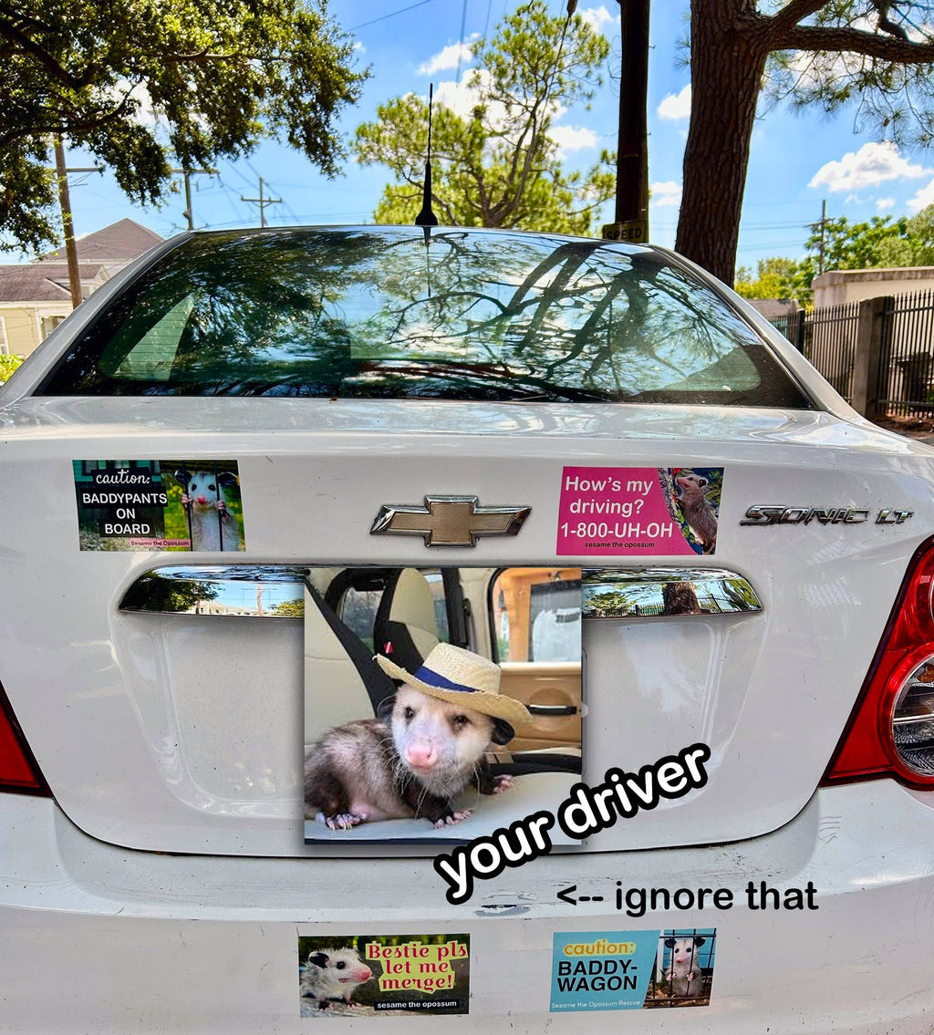Baddy Bumper Stickers