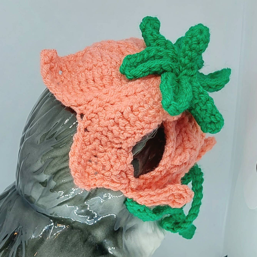 Crochet Tulip Hat - Cat Bonnet - Pet Hat