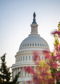 Capitol Spring Print; 5x7
