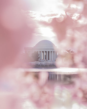 Blossom Glow 8x10 Print