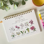 Tree Blossoms of Washington DC Notebook/Sketchbook