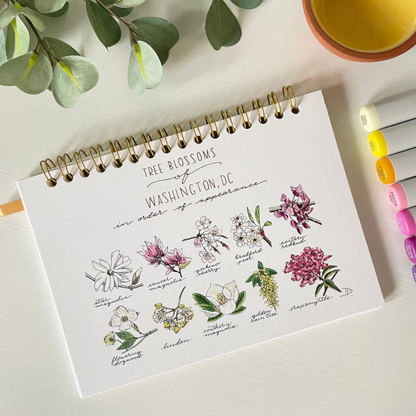 Tree Blossoms of Washington DC Notebook/Sketchbook