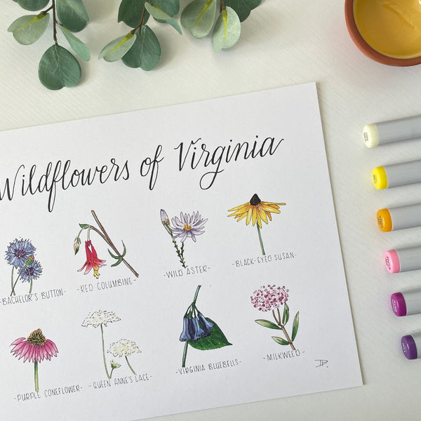 Wildflowers of Virginia | Recycled Cardstock Print