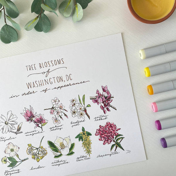 Tree Blossoms of Washington DC | Recycled Cardstock Print